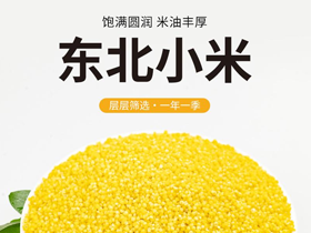 东北小米